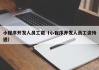 小程序開發(fā)人員工資（小程序開發(fā)人員工資待遇）