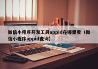 微信小程序開發(fā)工具appid在哪里看（微信小程序appid查詢）