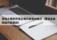 深圳小程序開發(fā)公司興田德潤簡介（建設(shè)企業(yè)網(wǎng)站興田德潤）