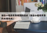 微信小程序開發(fā)用到的技術(shù)（微信小程序開發(fā)的關(guān)鍵技術(shù)）