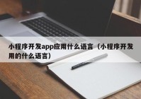 小程序開發(fā)app應(yīng)用什么語(yǔ)言（小程序開發(fā)用的什么語(yǔ)言）