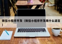 微信小程序開發(fā)（微信小程序開發(fā)用什么語言）