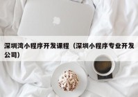 深圳灣小程序開發(fā)課程（深圳小程序?qū)I(yè)開發(fā)公司）