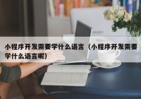 小程序開發(fā)需要學(xué)什么語言（小程序開發(fā)需要學(xué)什么語言呢）