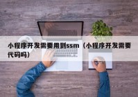 小程序開發(fā)需要用到ssm（小程序開發(fā)需要代碼嗎）