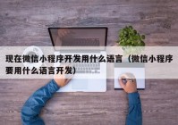 現(xiàn)在微信小程序開發(fā)用什么語言（微信小程序要用什么語言開發(fā)）