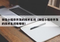 微信小程序開發(fā)的技術(shù)名詞（微信小程序開發(fā)的技術(shù)名詞有哪些）