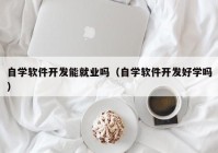 自學軟件開發(fā)能就業(yè)嗎（自學軟件開發(fā)好學嗎）